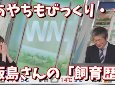 【松雪彩花】あやちもびっくり・・飯島さんの「飼育歴」＜ウェザーニュース切り抜き＞