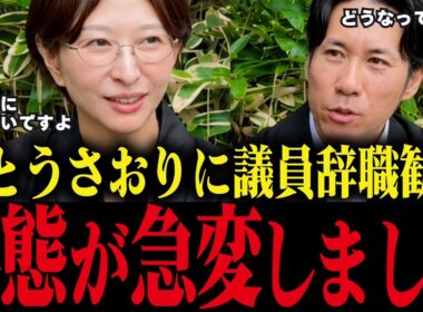 【さとうさおり】小池都政によるいじめが幼稚すぎる...とんでもない事態です...【小池百合子 小池都知事 都議会 カイロ大学 学歴詐称疑惑】