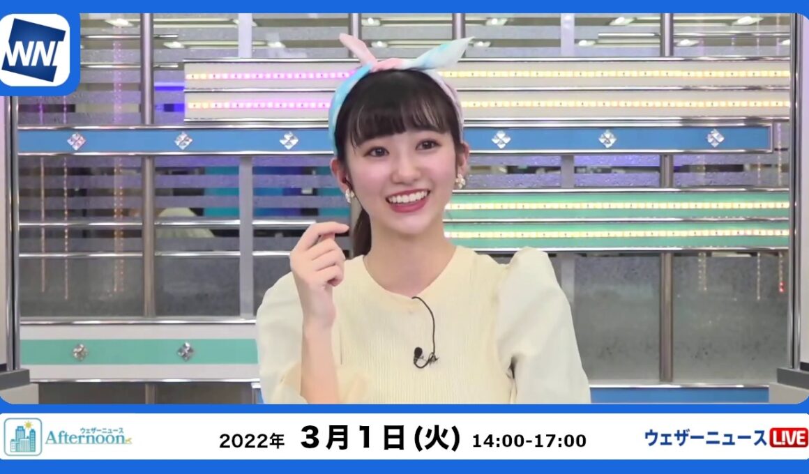 🦔のんちゃん #059　2022年3月1日アフターヌーン