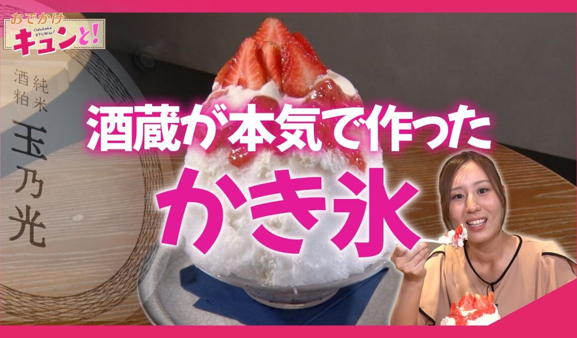 伏見の老舗酒蔵が手がける酒粕かき氷／きょうと経済テラス キュンと！