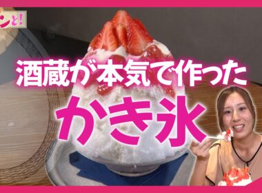 伏見の老舗酒蔵が手がける酒粕かき氷／きょうと経済テラス キュンと！