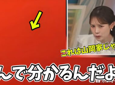 赤色見ただけで山岡家かどうか判定できるお天気お姉さんが凄すぎてもはや怖いw【戸北美月】