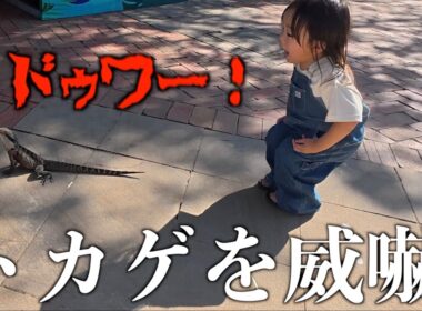 【森ケの日常】オーストラリアの動物園で興奮しまくる子供たち