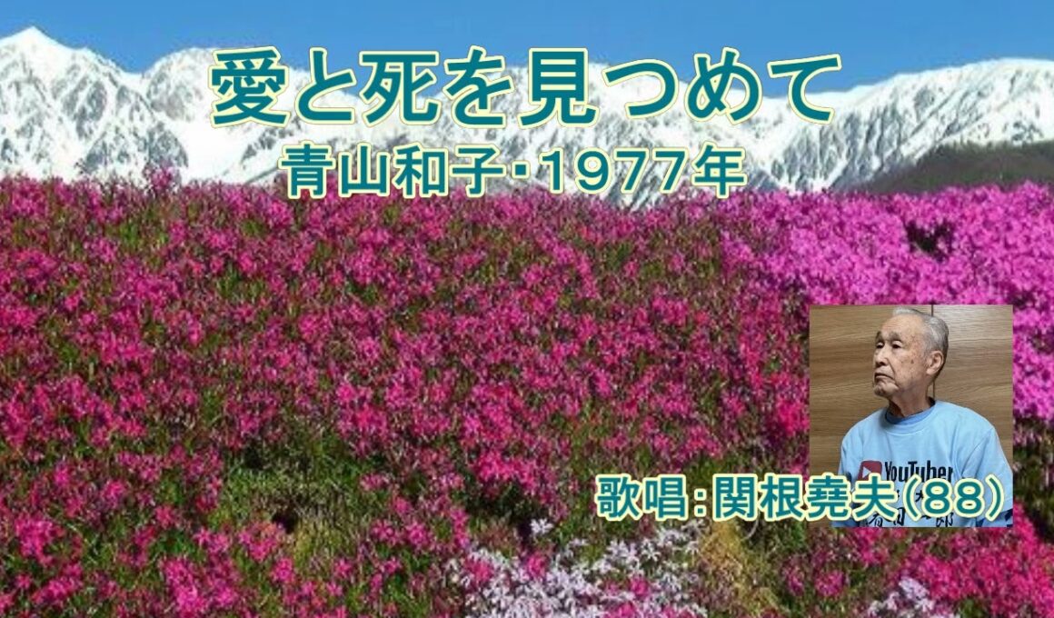 青山和子「愛と死をみつめて」カバー：関根堯夫　春日一郎　字幕