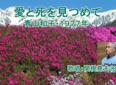 青山和子「愛と死をみつめて」カバー：関根堯夫　春日一郎　字幕
