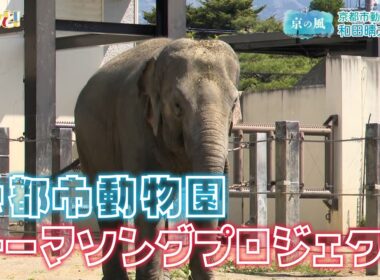 【京都市動物園】和田園長に聞く！テーマソングプロジェクト／きょうと経済テラス キュンと！