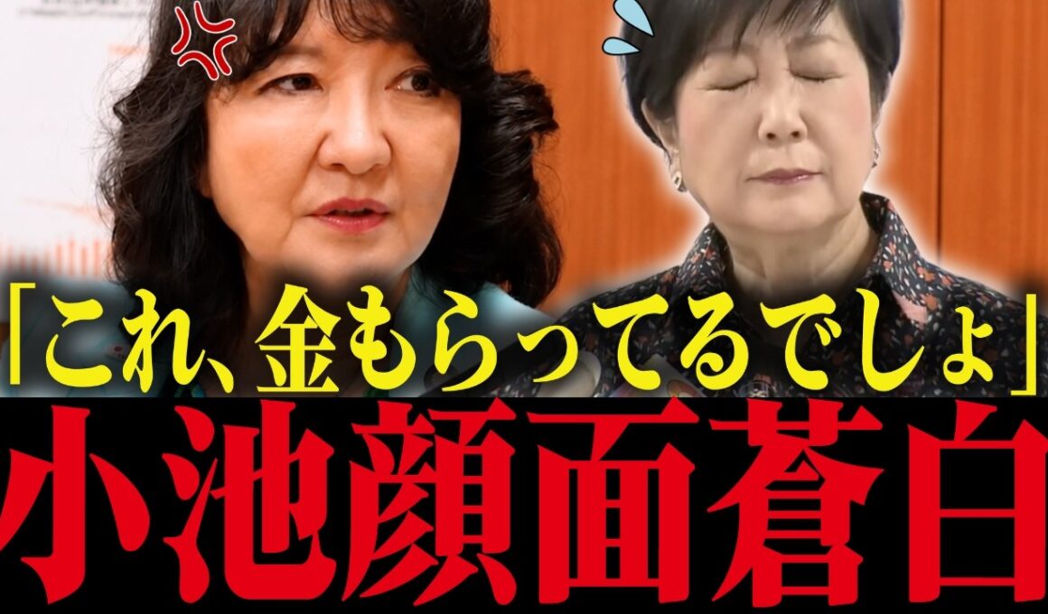 【小池百合子】片山さつきが小池の利権政策を暴露！インチキ政策がバレて小池大焦り【小池都知事 さとうさおり 都議会 カイロ大学 学歴詐称疑惑】