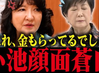 【小池百合子】片山さつきが小池の利権政策を暴露！インチキ政策がバレて小池大焦り【小池都知事 さとうさおり 都議会 カイロ大学 学歴詐称疑惑】