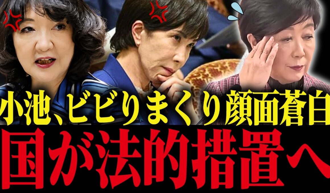 【小池百合子】※国が小池を潰しに動き出しました...トンデモない事態に...【小池都知事 さとうさおり カイロ大学 学歴詐称疑惑】