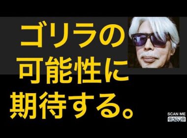 【山崎行太郎ch】ゴリラの可能性に期待する。＃ゴリラ＃護憲リベラル共生＃川内ひろし＃阿部知子＃平岡秀夫