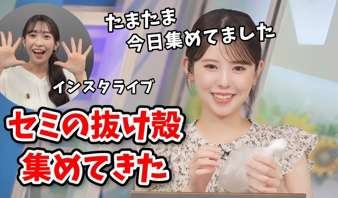 【小川千奈・山岸愛梨】ミラクル起きた！森でセミの抜け殻を集めてきた千ちゃん！欲しがってたあいりんにあげてインスタライブで披露する【ウェザーニュース切り抜き】