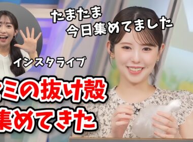 【小川千奈・山岸愛梨】ミラクル起きた！森でセミの抜け殻を集めてきた千ちゃん！欲しがってたあいりんにあげてインスタライブで披露する【ウェザーニュース切り抜き】
