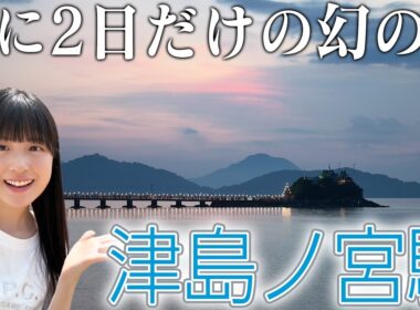 【年に2日だけ】日本一営業日の少ない駅、津島ノ宮駅へ