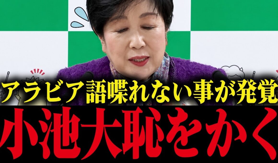 【小池百合子】自身のSNSでアラビア語喋れますアピールをするも、不正が速攻バレて大恥をかく小池百合子【小池都知事 さとうさおり 都議会 カイロ大学 学歴詐称疑惑】