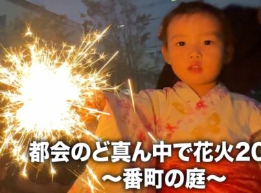 #206 番町の花火2026