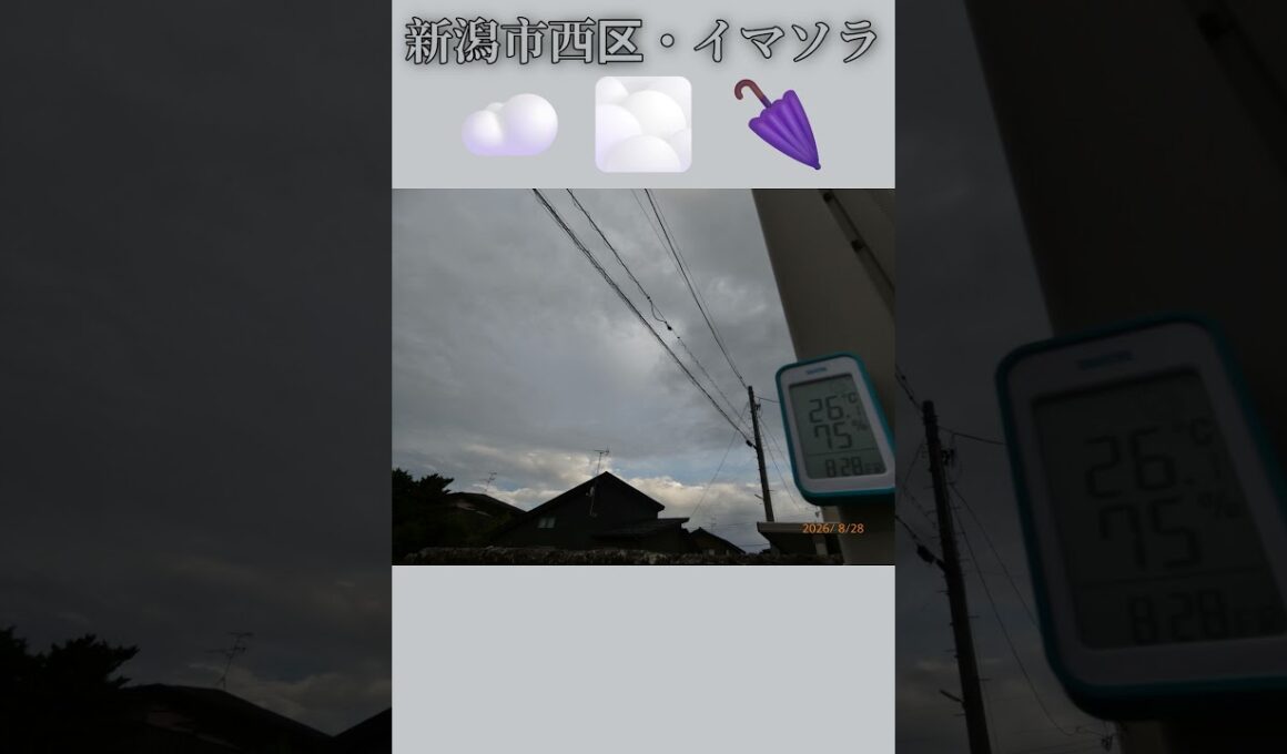 新潟市西区・☁️🌫️🌂イマソラ #8月28日 #金曜日 #新潟県 #新潟市 #新潟市西区 #イマソラ #今朝の空 #ラジオ体操