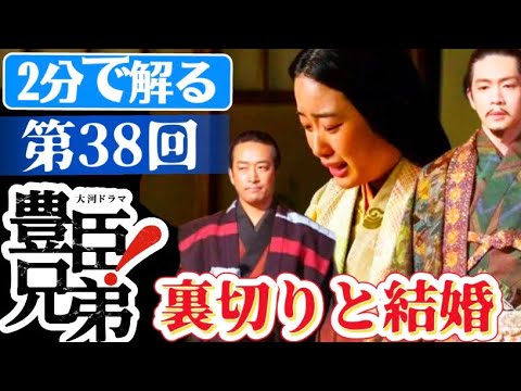 豊臣兄弟！第38回「あさひの結婚」（仮）松下洸平さんの徳川家康との政略結婚！NHK大河ドラマ2分で分る38話ネタバレあらすじ予想！第32回第33回から38回まで