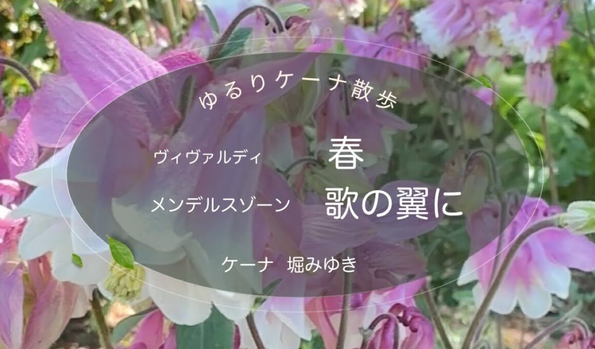 【ケーナ】四季より”春”  歌の翼に　Cover Quena  長野県信州スカイパーク