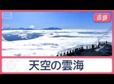 清流の名所、“海に浮く”奇跡の空間、神秘の雲海…ここどこ？涼を楽しむ絶景スポット【Jの追跡】【スーパーJチャンネル】(2026年8月29日)