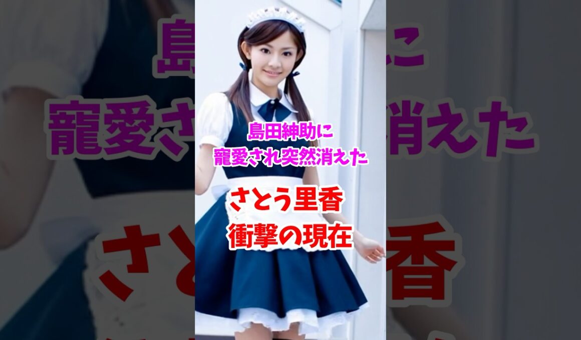 さとう里香の衝撃の現在 #平成 #戦隊シリーズ  #女性芸能人