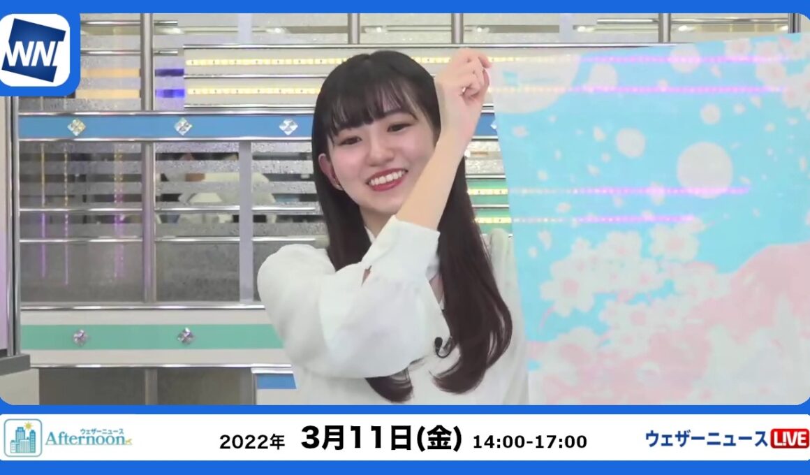🦔のんちゃん #065　2022年3月11日アフターヌーン