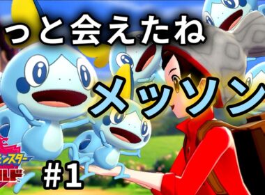 新シリーズ開幕！美味しいカレー作ろうね♡[ポケモン剣盾]