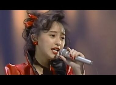 いいじゃない (Remix Farewell Version) / 渡辺美奈代