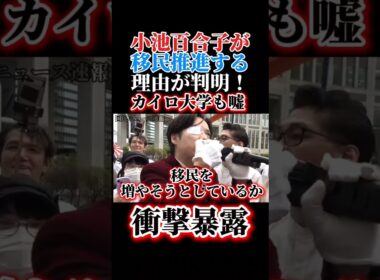 小池百合子が移民推進する理由が判明！カイロ大学卒業も嘘だと河合ゆうすけ暴露！　＃小池百合子　＃さとうさおり