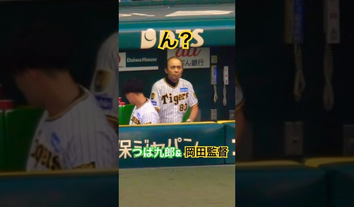 つば九郎　岡田監督にあいさつ！気づかれて緊張！#つば九郎 #岡田監督 #swallows #tigers