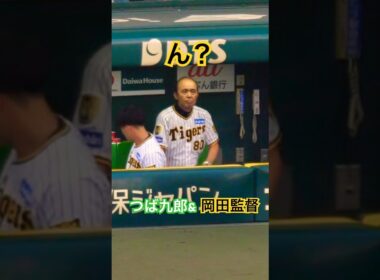 つば九郎　岡田監督にあいさつ！気づかれて緊張！#つば九郎 #岡田監督 #swallows #tigers