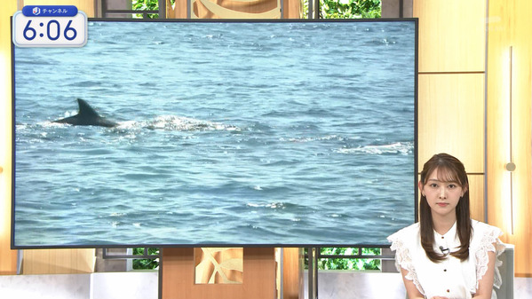 1 (26)