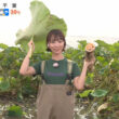 【画像】今日の今井春花さん　8.22