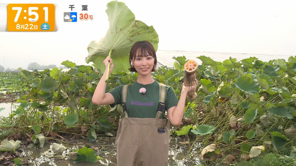 【画像】今日の今井春花さん　8.22
