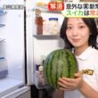 【画像】今日の原田葵さんと高崎春さんと宮迫翠月さん　8.5