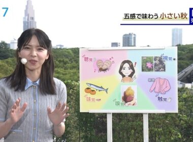 【画像】今日の晴山紋音さん 8.21