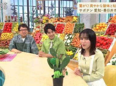【画像】今日の鈴村奈美さん　8.8