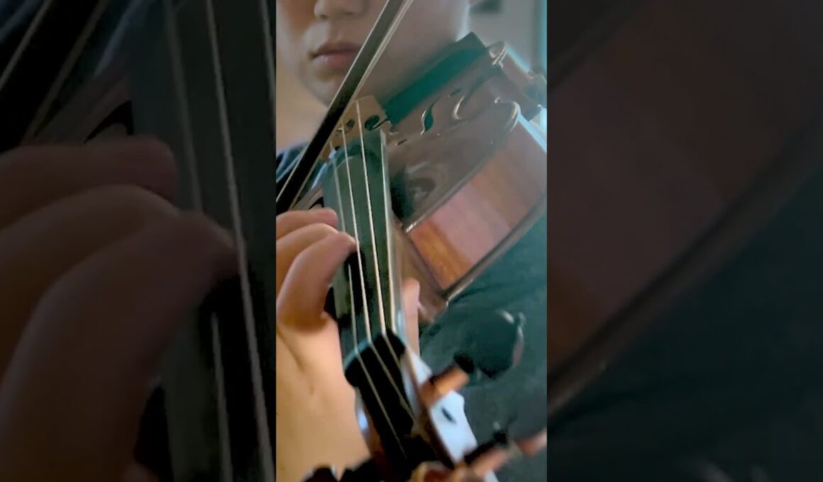 H.Dutilleux: Concerto for violin "Tree of Dreams"｜デュティユ: ヴァイオリン協奏曲《夢想の樹》より #shorts