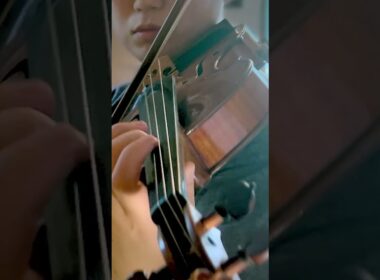 H.Dutilleux: Concerto for violin "Tree of Dreams"｜デュティユ: ヴァイオリン協奏曲《夢想の樹》より #shorts