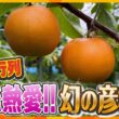 販売前から長蛇の列！市場には出回らない地元熱愛の完熟フルーツ「彦根梨」【テッパン朝ライブ じゅーっと！/じゅーっ特集！生中継】