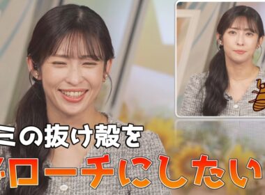 【山岸愛梨】🍙っ「セミの抜け殻をブローチにして番組出演したいあいりん (ツベコメ有り)」