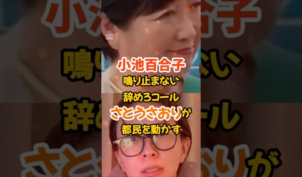 【小池百合子】鳴り止まない辞めろコール、さとうさおりが都民を動かす#政治#小池百合子 #さとうさおり #東京都議会 #オールドメディア
