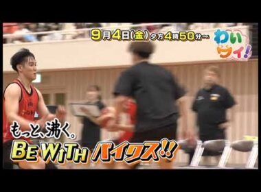 【番宣】愛媛オレンジバイキングスを全力応援！＆こだわりチーズケーキに感動！▽わいワイ！Friday 2026/09/04（金）午後4時50分～！