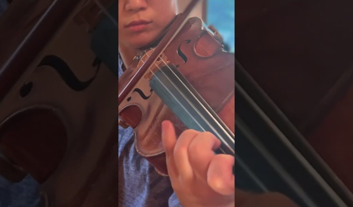 H.Dutilleux: Concerto for violin "Tree of Dreams"｜デュティユ: ヴァイオリン協奏曲《夢想の樹》より #shorts