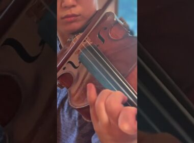 H.Dutilleux: Concerto for violin "Tree of Dreams"｜デュティユ: ヴァイオリン協奏曲《夢想の樹》より #shorts