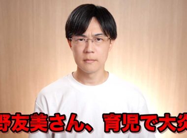 板野友美さんの子育てはなぜ炎上するのか？峯岸みなみさんとの比較