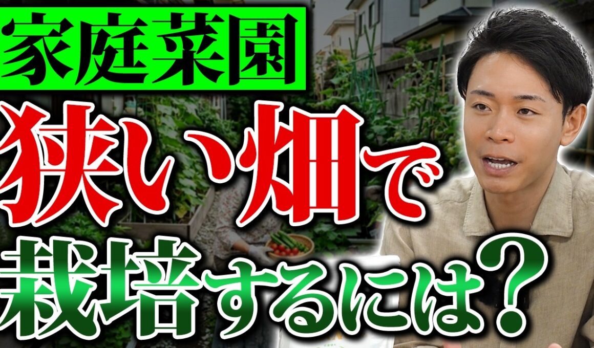 狭い畑でも毎日採れる！収穫の空白期間をなくすリレー栽培と空間活用術【家庭菜園 土づくり ガーデニング 少量多品目】