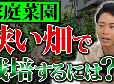 狭い畑でも毎日採れる！収穫の空白期間をなくすリレー栽培と空間活用術【家庭菜園 土づくり ガーデニング 少量多品目】