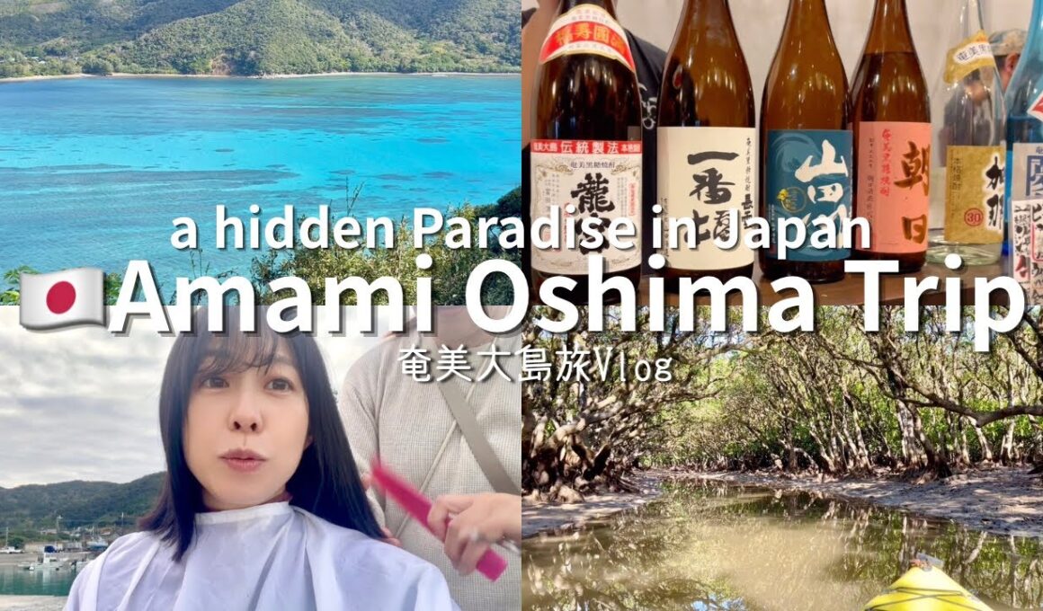 【出張ひとり旅】奄美大島2泊3日の旅｜ホテルニュー奄美｜鹿児島県奄美市