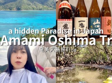 【出張ひとり旅】奄美大島2泊3日の旅｜ホテルニュー奄美｜鹿児島県奄美市