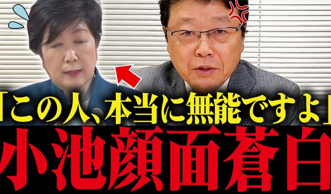 【小池百合子】北村晴男に生放送で実態を暴露され大恥をかく…言い逃れできない小池...【さとうさおり 小池都知事 都議会 カイロ大学 学歴詐称疑惑】